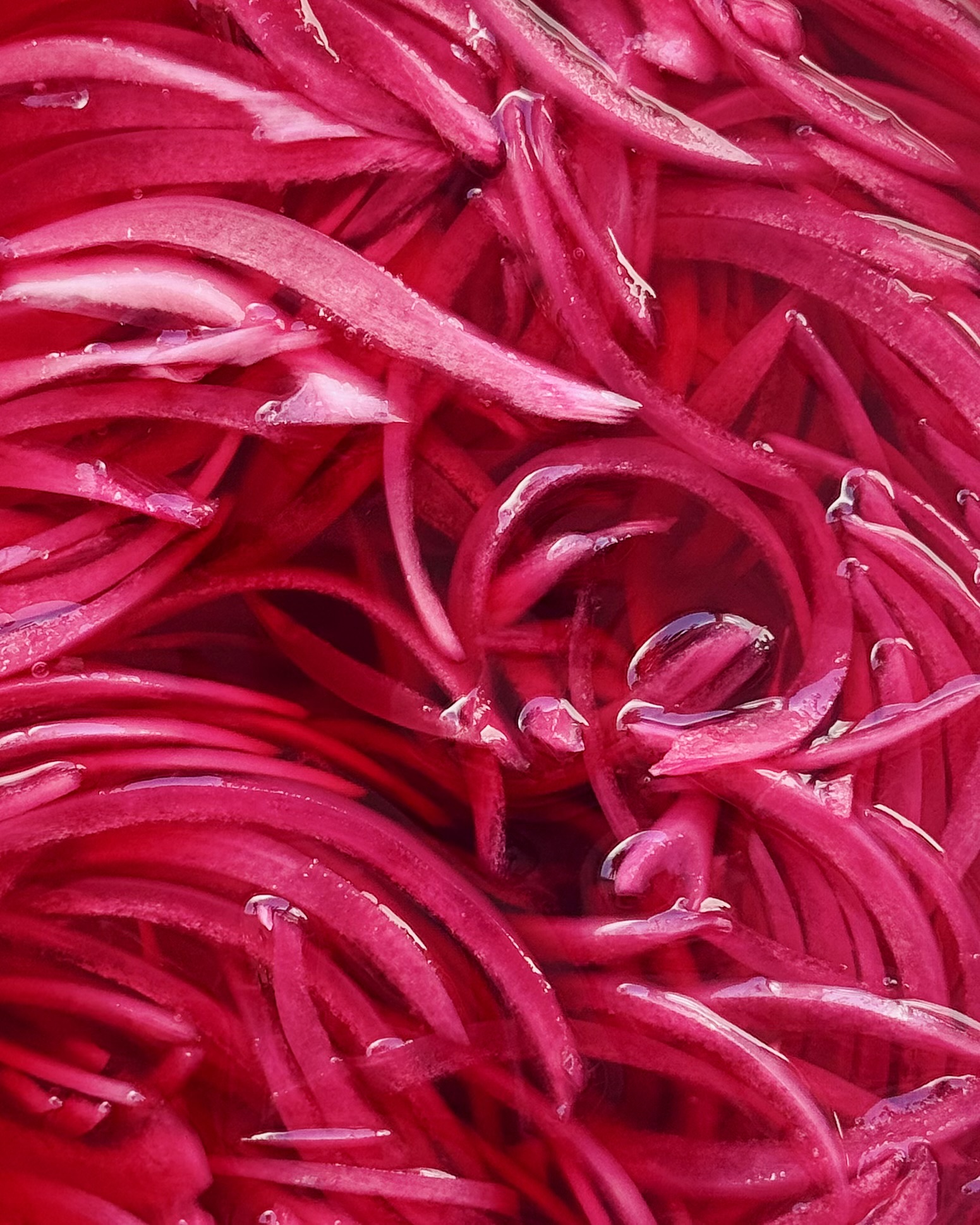 Pickled Red Onions